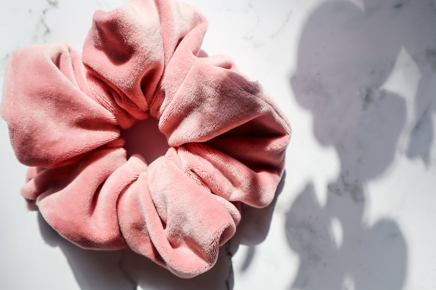 Rose XL